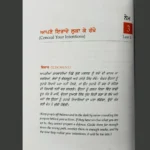 48 laws of power in Punjabi in CANADA