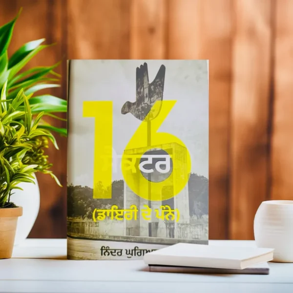 ਸੈਕਟਰ 16 || sector 16