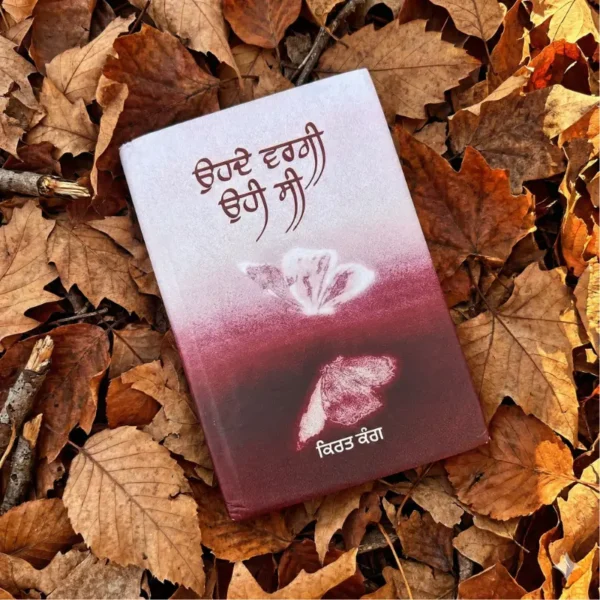 ਓਹਦੇ ਵਰਗੀ ਓਹੀ ਸੀ || ohde vargi ohi c